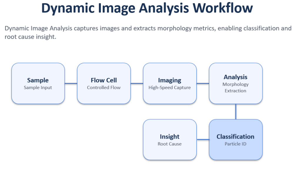 Dynamic Imaging Worlflow