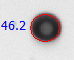 circle analysis example