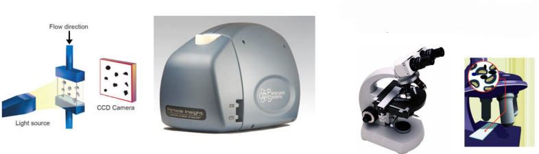 creation from two perspectives