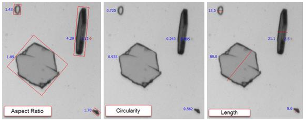 Image showing particles being measured with aspect ratio, circularity, and length