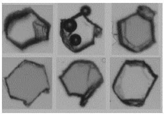 particle thumbnail images particle thumbnail images