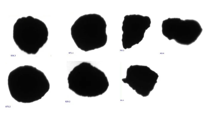 Particle Size of Frac Sands