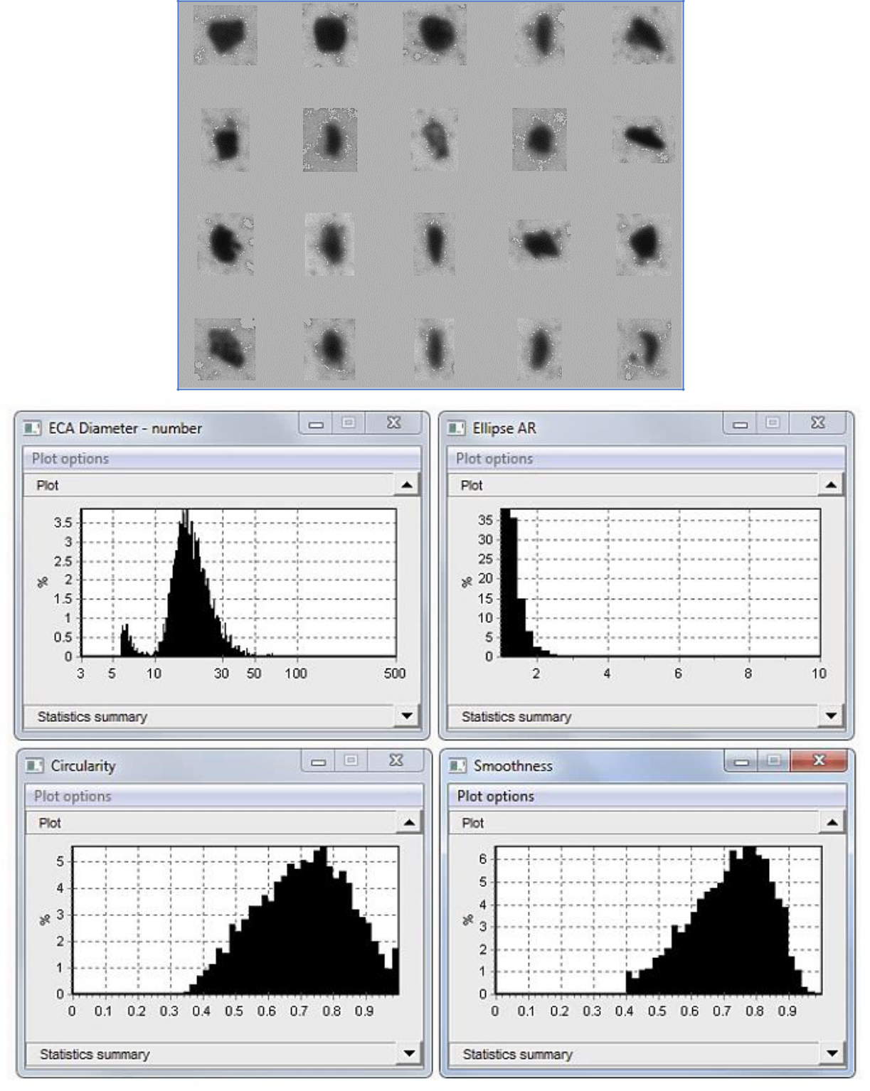 Particle Size and Shape and thumbnails of marine sediment