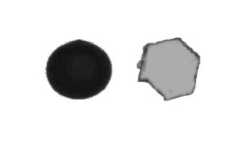 Particle measurement results with different techniques on wollastonite