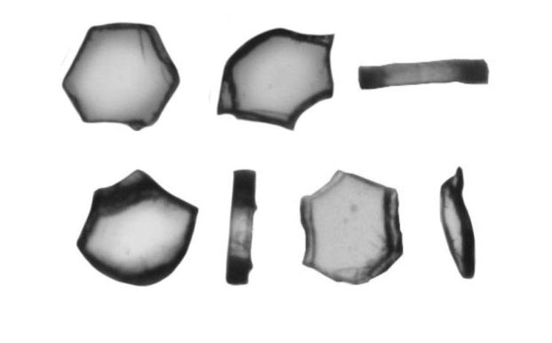 Particle measurement results with different techniques on wollastonite