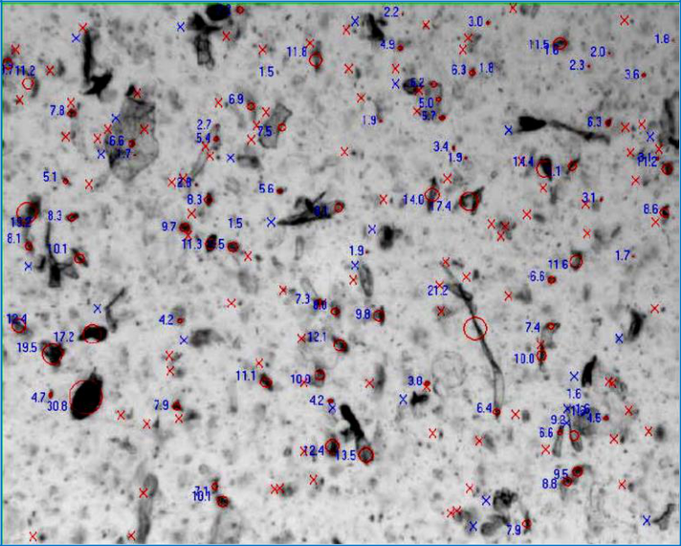 Particle measurement results with different techniques on wollastonite