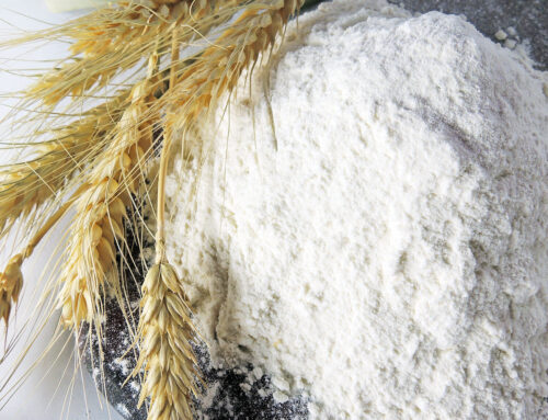 Beyond Size: See Why Starch Particles Have More to Say Than You Think