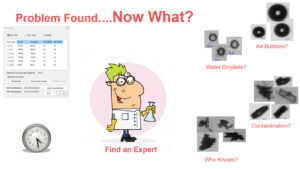 Dynamic Image Analysis