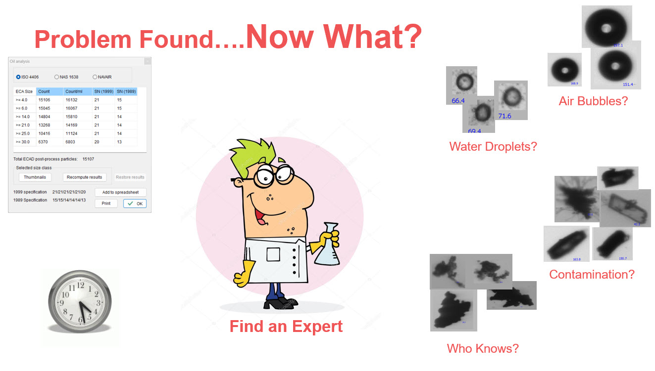 Dynamic Image Analysis