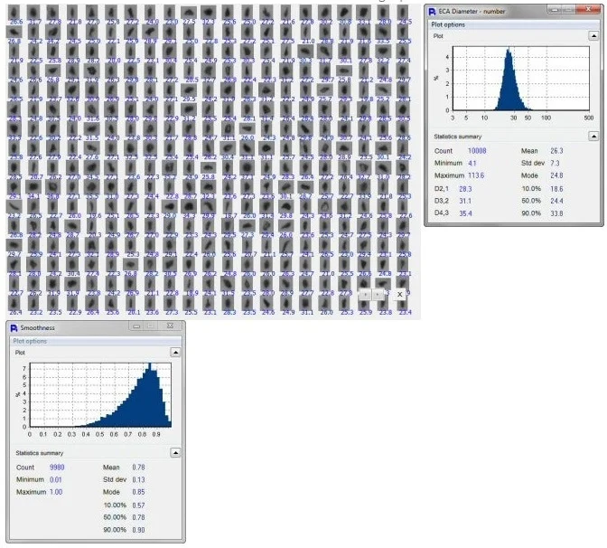 dynamic image analysis particle imaging example
