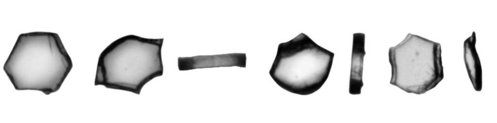 Image showing a crystal particle in different orientations