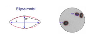 Diagram showing measuring particle shape using an ellipse model