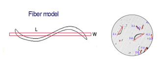 Diagram showing measuring particle shape using a fiber model