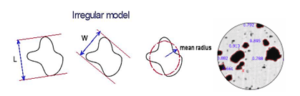 Diagram showing measuring particle shape using an irregular model