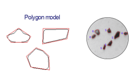 Diagram showing measuring particle shape using a polygon model