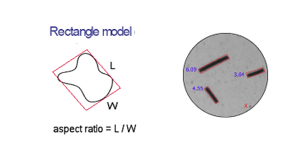 Diagram showing measuring particle shape using a rectangle model