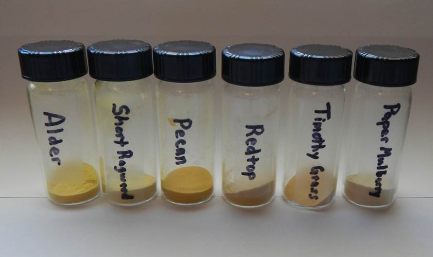 differentiating pollen by shape analysis