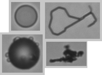 Subvisible particles, Silicone droplet, fibers, debris
