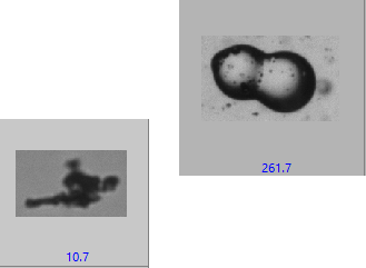 particle agglomerates detected using particle imaging