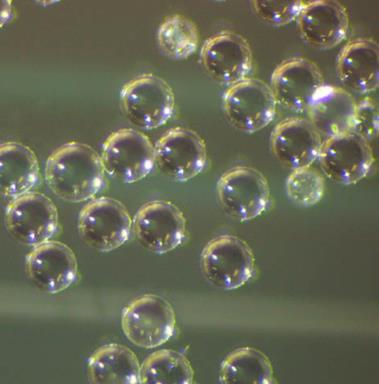 Polystyrene Spheres Size and Shape