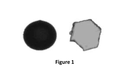 Same size if we assume all particles are round