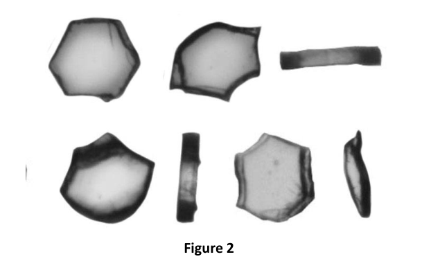 Random orientation of particles