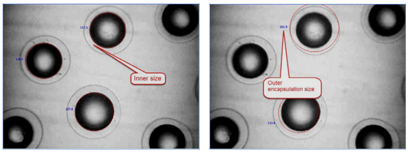 Encapsulated particles. Dynamic imaging able to measure both the encapsulation as well as the particle.