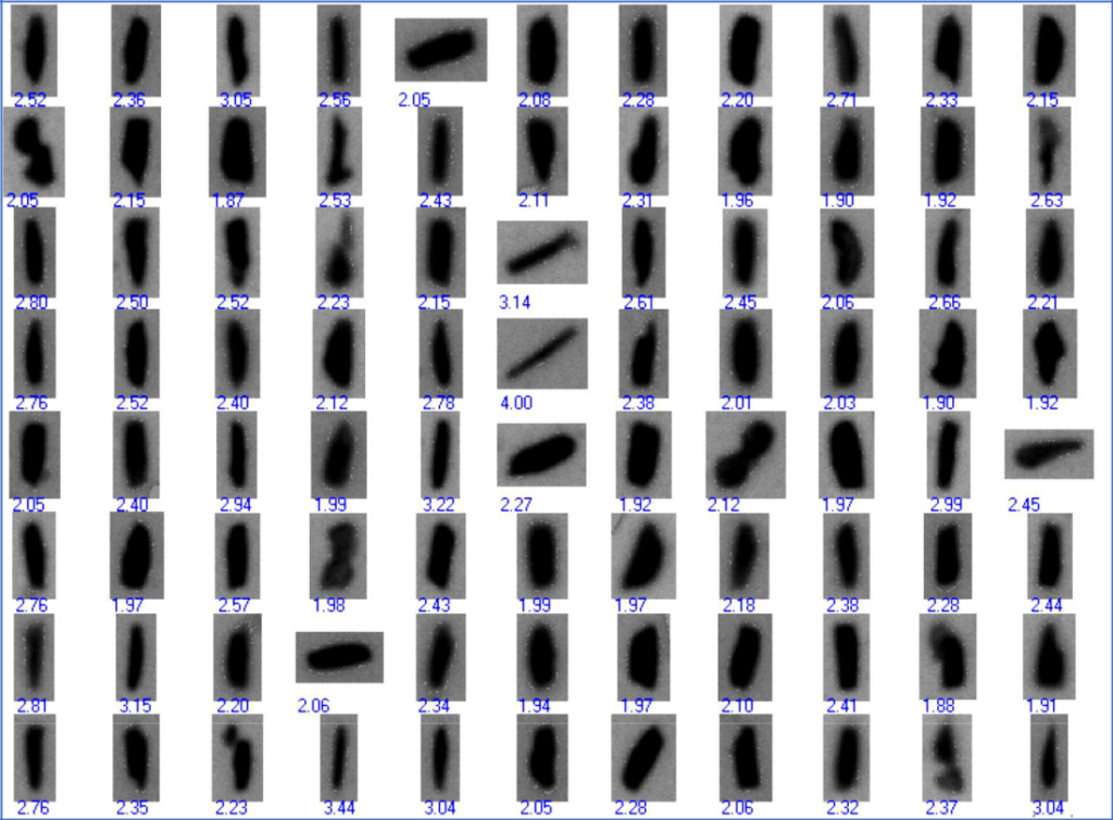 HPLC column particles - sticks