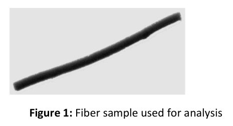Fiber particle for size and shape analysis
