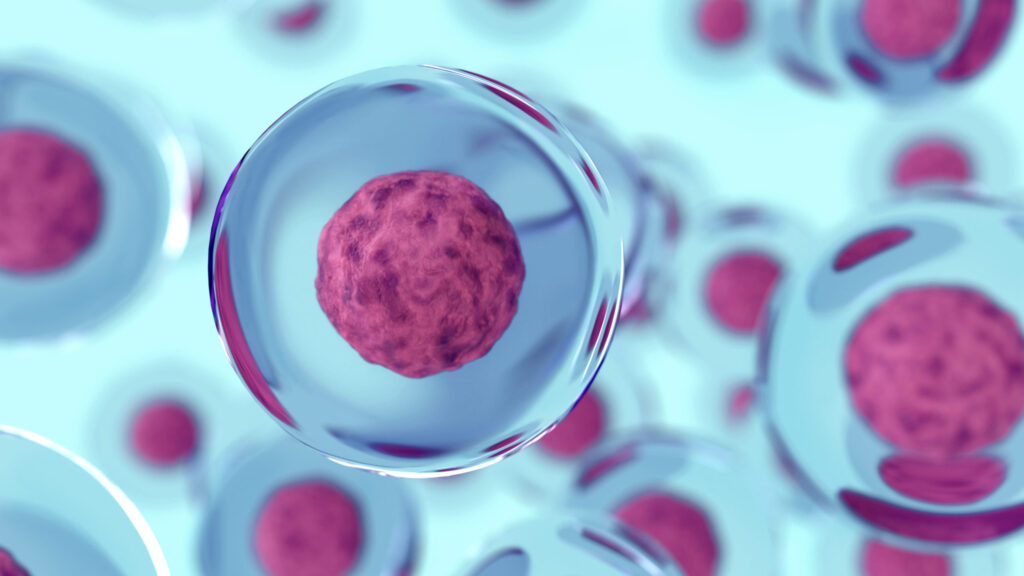 Stem Cell identification and classification