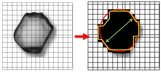 Particle silhouette converted to a binary pixelized image