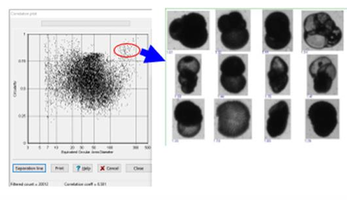 Correlation plot with particle thumbnails for rare event detection