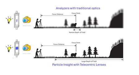 Illustration of depth of field in dynamic image analysis