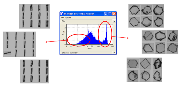 Particle thumbnails linked to a region of a size distribution histogram