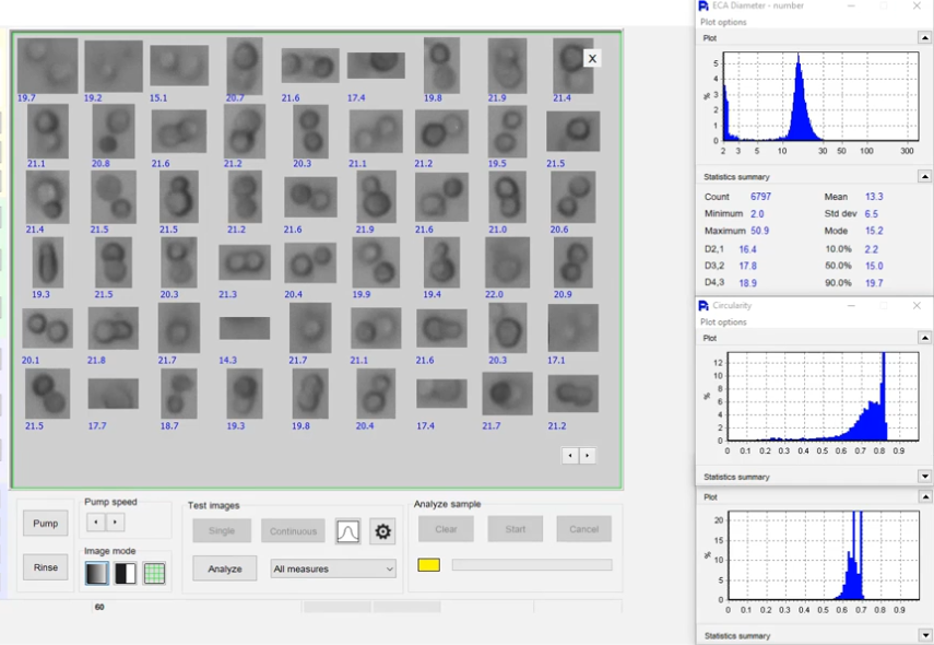 Stem Cell Images using Dynamic Image Analysis