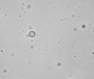 Silicone oil droplets floating in a beaker beside Raptor 1788 particle images for USP 788 sampling.